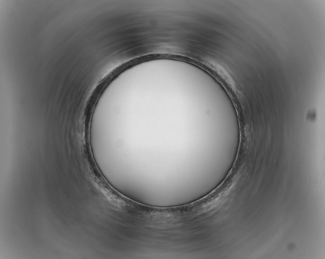 X0000097640931200803142043