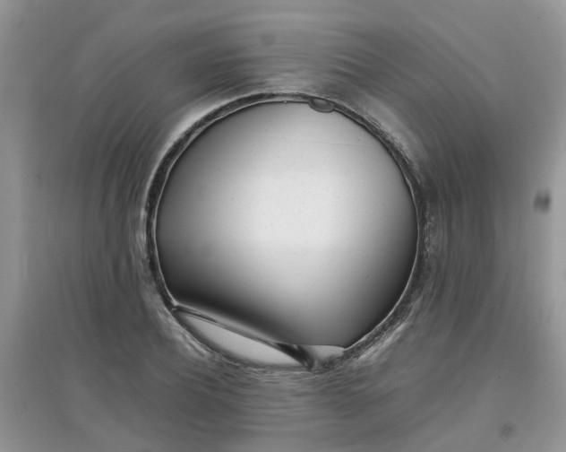 X0000097640932200803142043