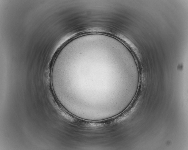 X0000097640933200803142043