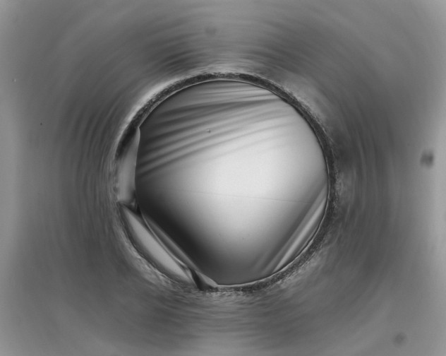 X0000097640934200803142043