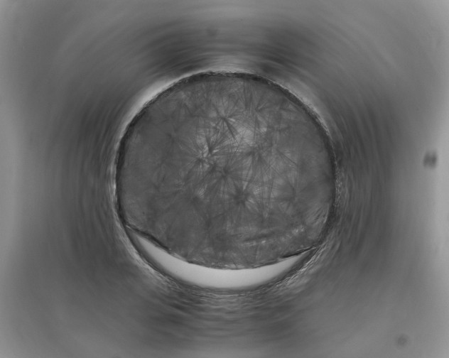 X0000097640935200803142043