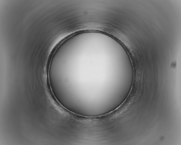 X0000097640936200803142043