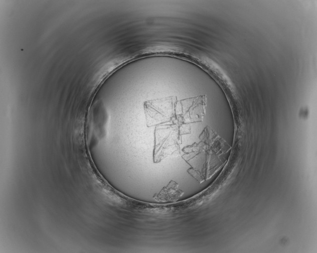 X0000097640937200803142043