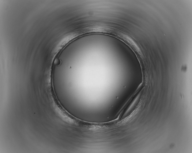 X0000097640938200803142043