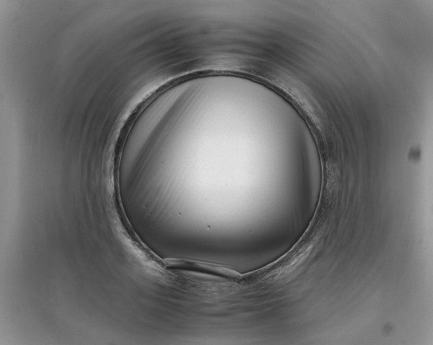 X0000097640939200803142043