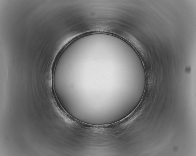 X0000097640940200803142043