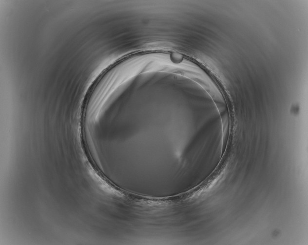 X0000097640941200803142043