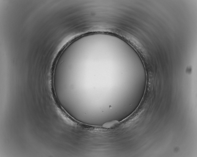 X0000097640942200803142043