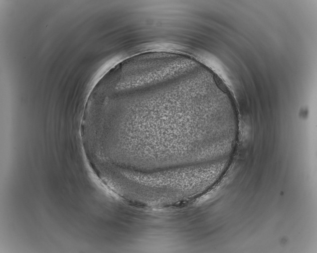 X0000097640946200803142044