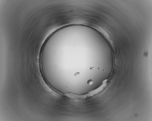 X0000097640947200803142044