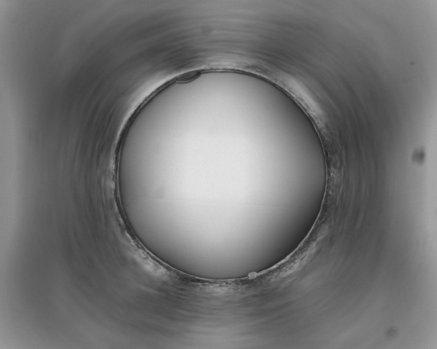 X0000097640948200803142044