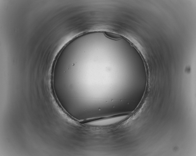 X0000097640949200803142044