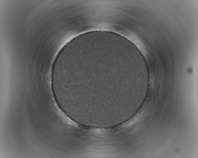 X0000097640950200803142044