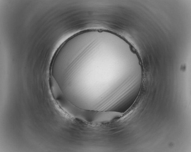 X0000097640951200803142044