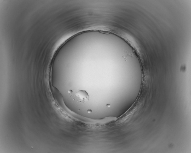 X0000097640952200803142044