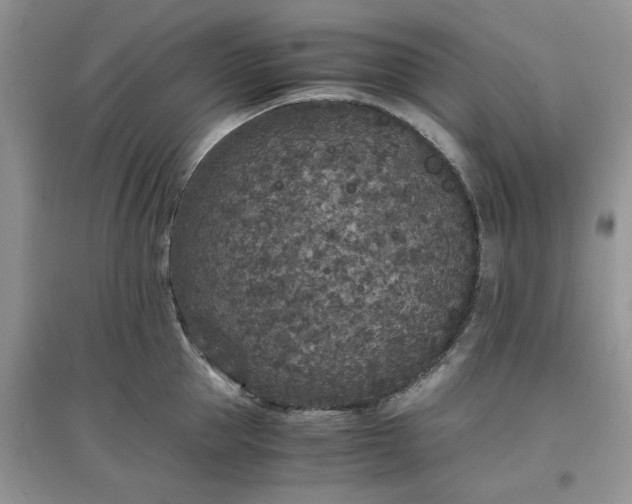 X0000097640953200803142044