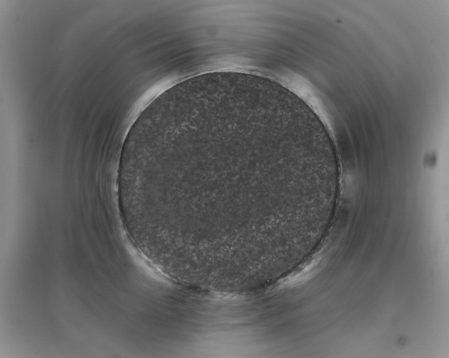 X0000097640954200803142044