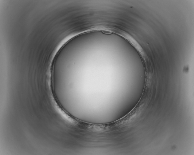 X0000097640955200803142044