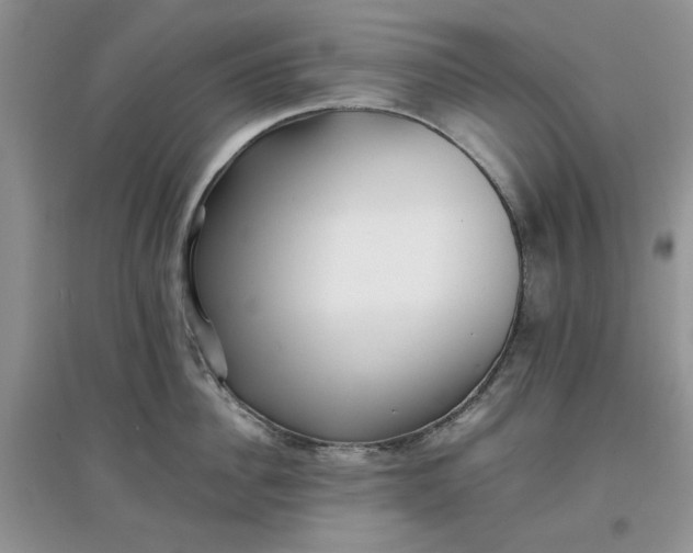 X0000097640956200803142044