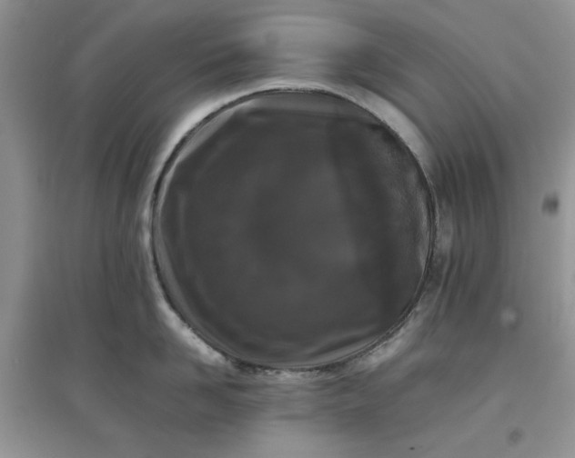 X0000097640958200803142044