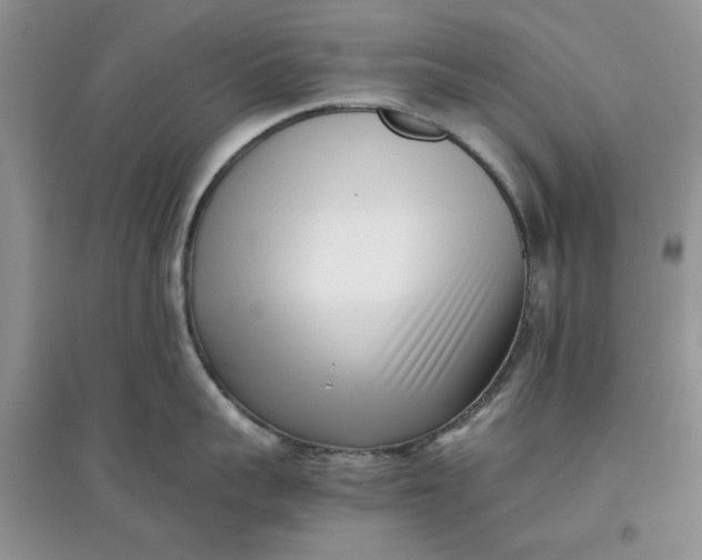 X0000097640959200803142044