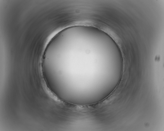 X0000097640960200803142044