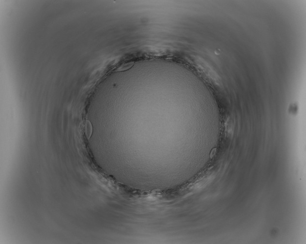 X0000097640961200803142043