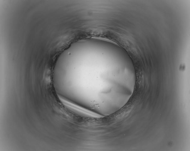 X0000097640962200803142043