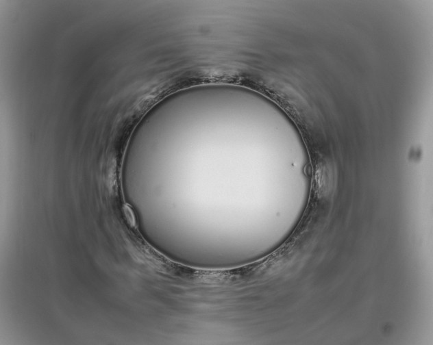 X0000097640963200803142043