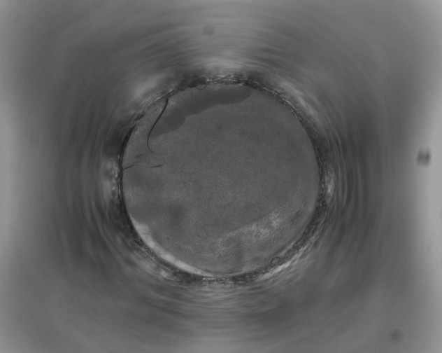 X0000097640964200803142043