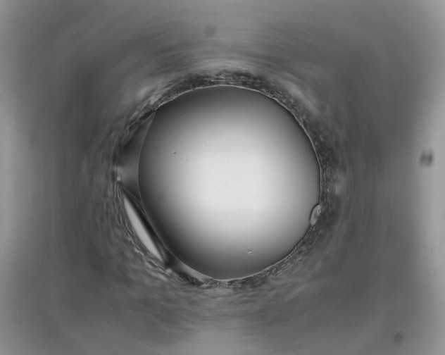 X0000097640965200803142043