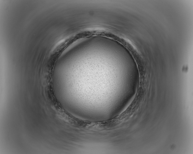 X0000097640967200803142043