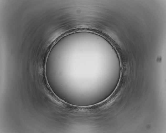 X0000097640969200803142043