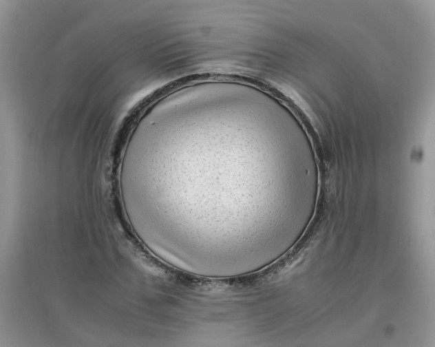 X0000097640971200803142043