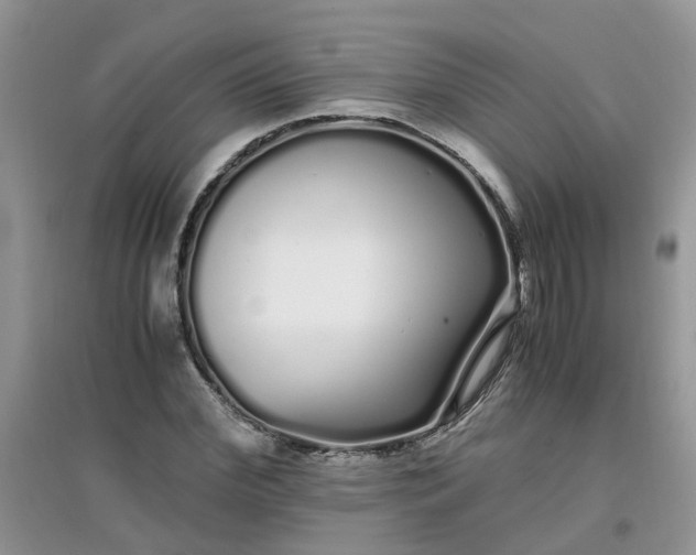 X0000097640972200803142043