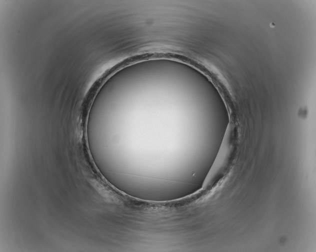 X0000097640973200803142043