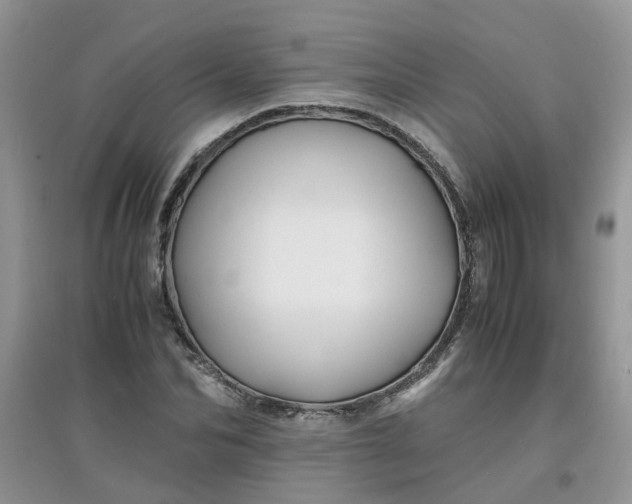 X0000097640974200803142043