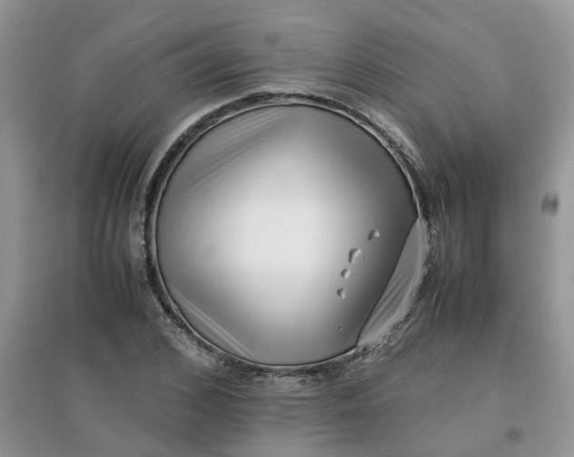 X0000097640976200803142043