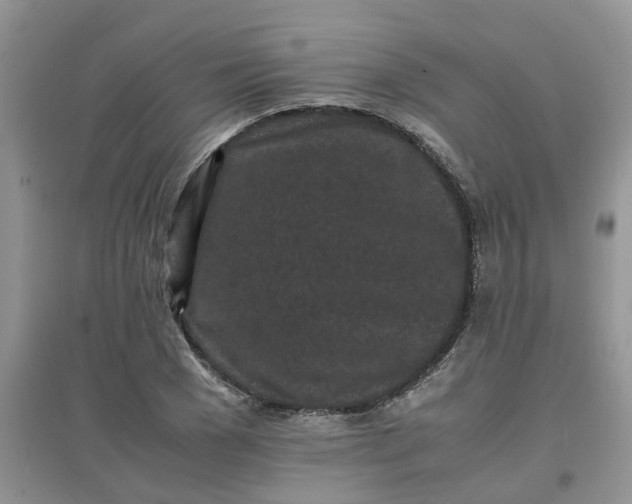 X0000097640977200803142043