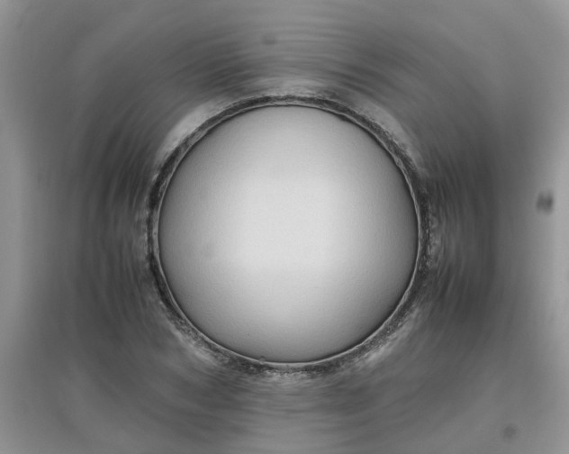 X0000097640978200803142043