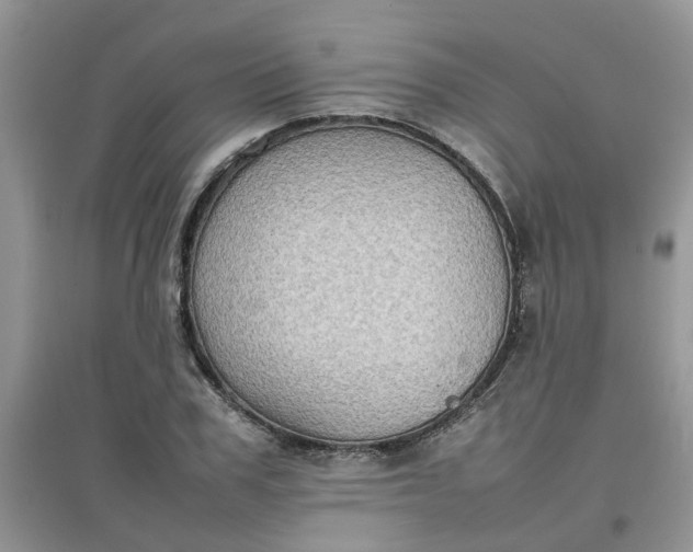 X0000097640979200803142043