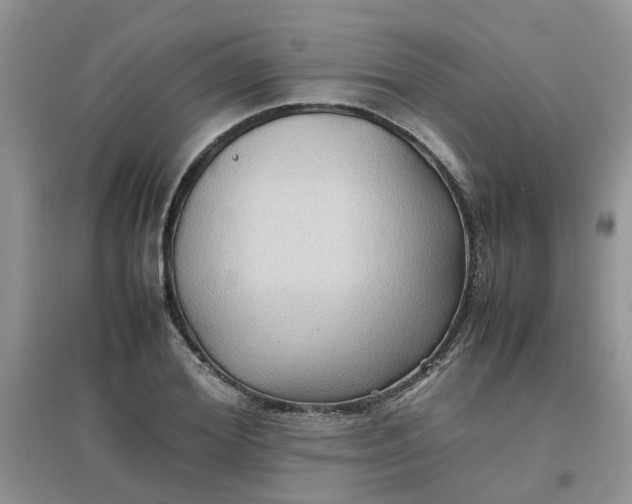 X0000097640980200803142043