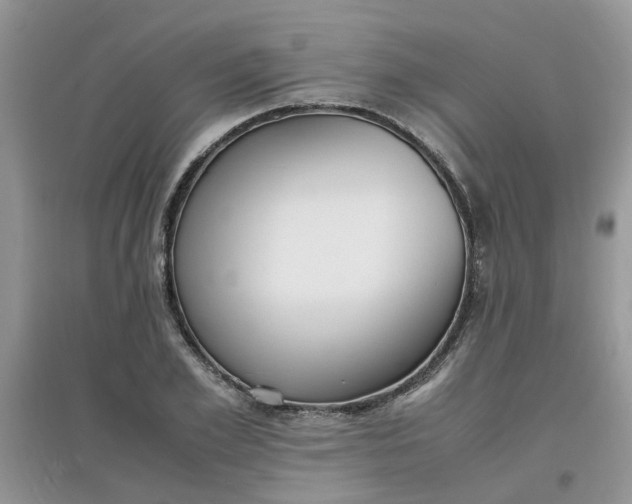 X0000097640981200803142043