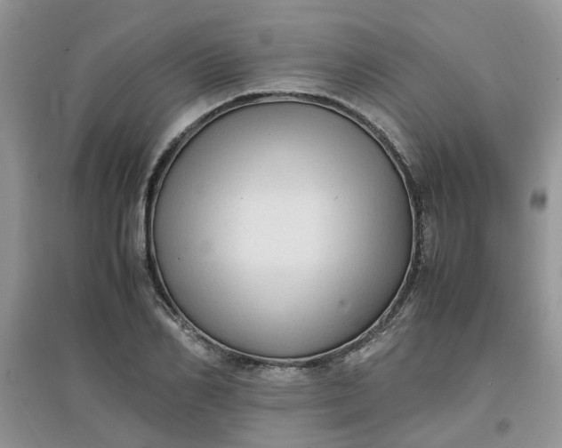 X0000097640982200803142043