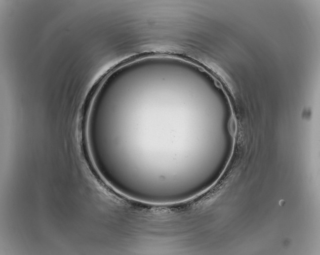 X0000097640983200803142043