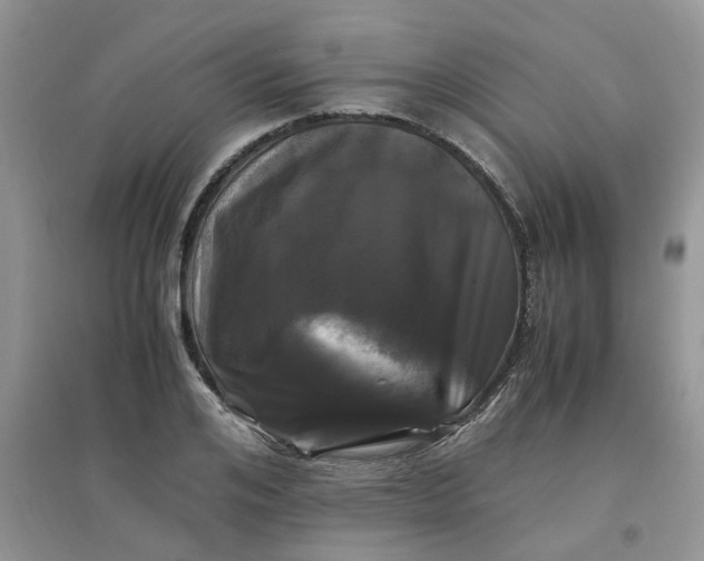 X0000097640984200803142043