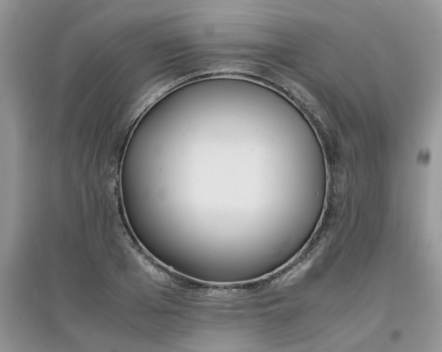 X0000097640985200803142043