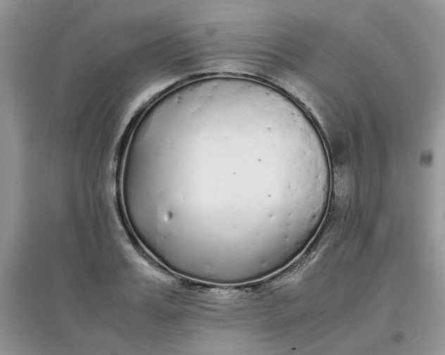 X0000097640987200803142043