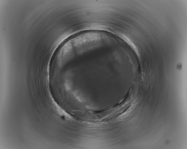 X0000097640988200803142043