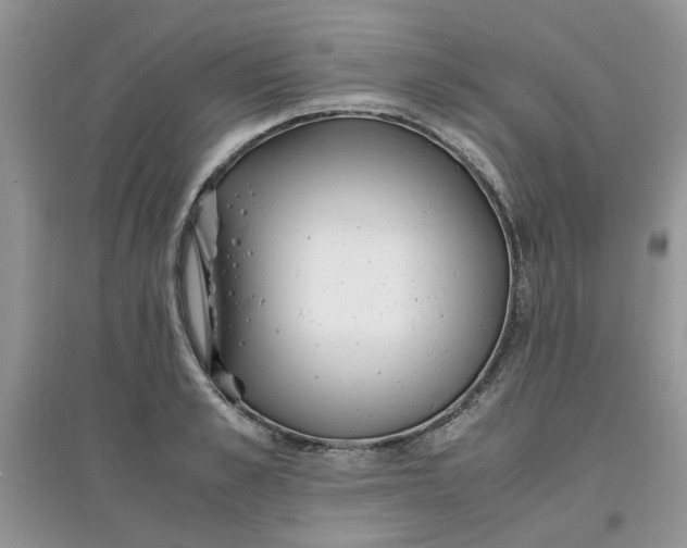 X0000097640989200803142042